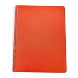 Cuaderno Profesional